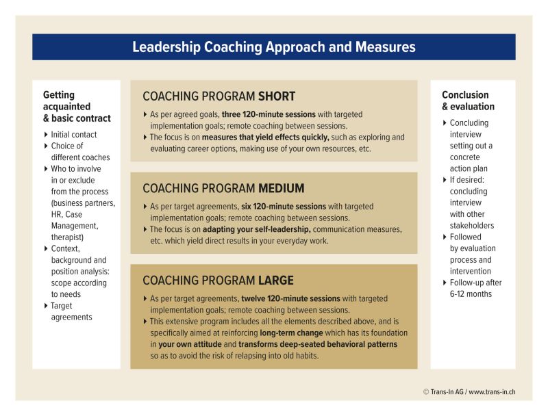 Leadership Coaching for burnout recovery, Approach and Measures