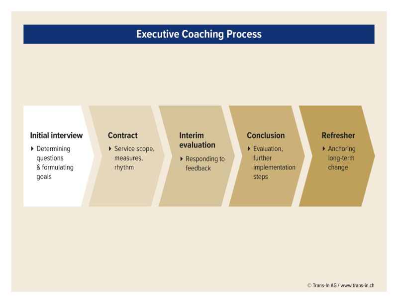 Executive Coaching Process, Trans-In