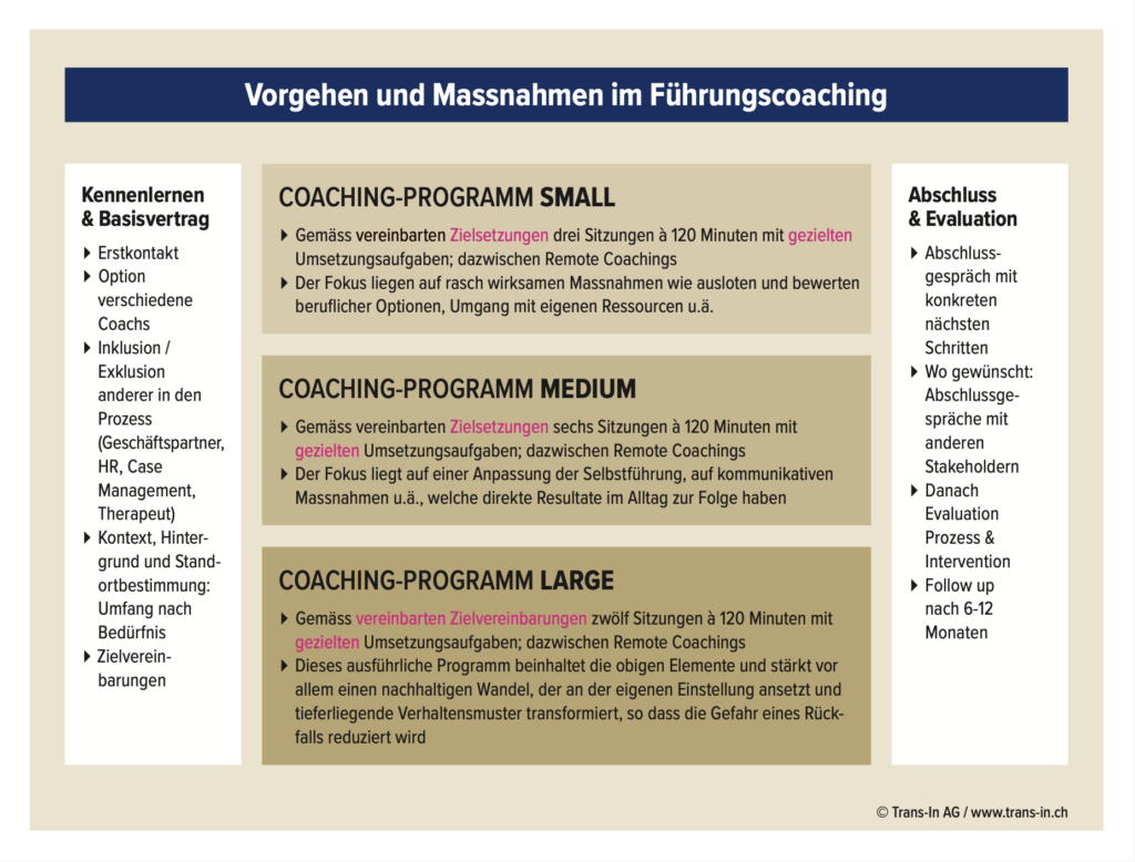 Trans-In - Vorgehen und Massnahmen im Führungscoaching