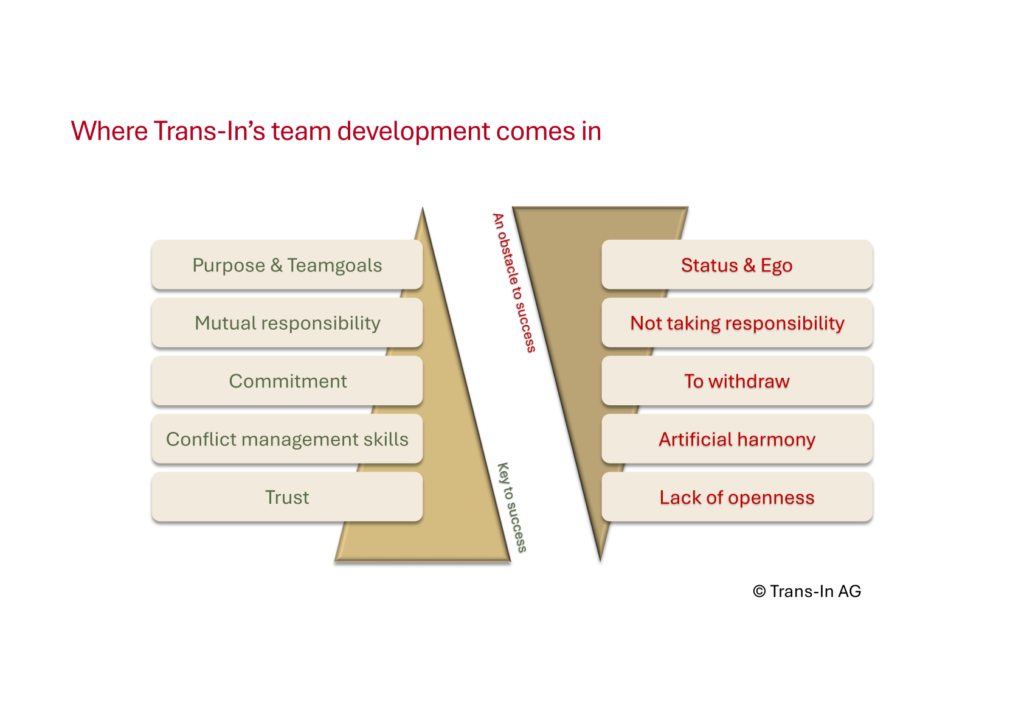 Trans-In – Team Development